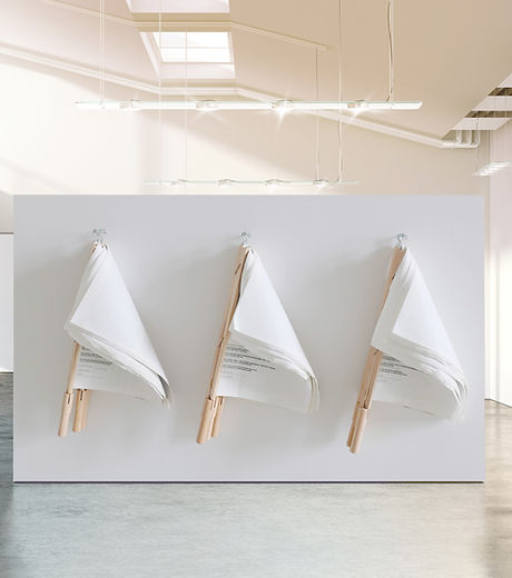 Exhibited Document Flags