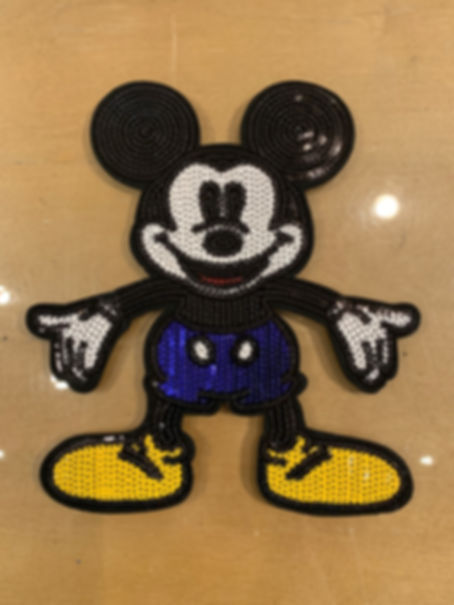 Mickey Mouse Blue Bottom
