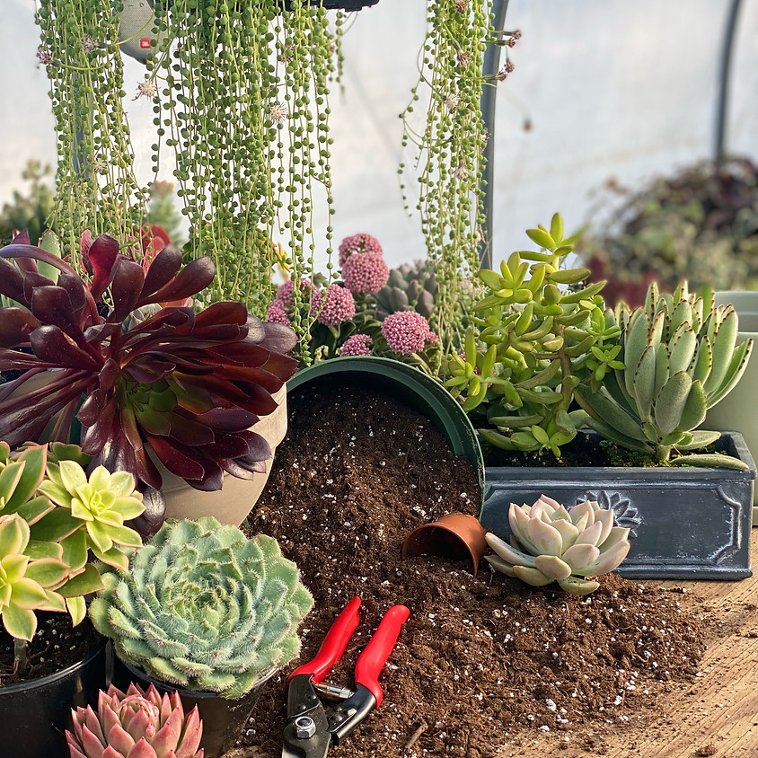 BYOP (Bring Your Own Planter) Event