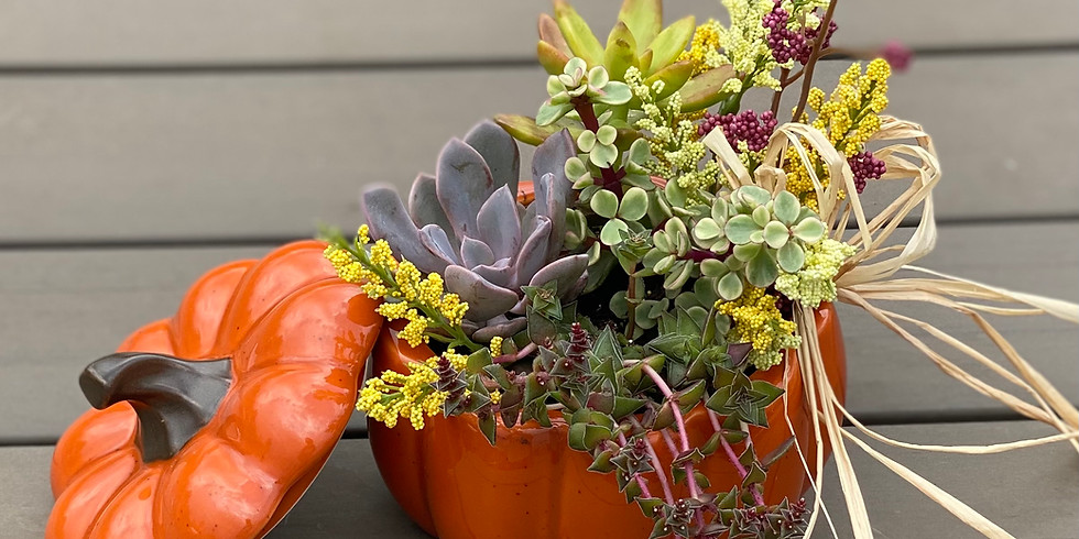 Mini Fall Pumpkin Planter Workshop