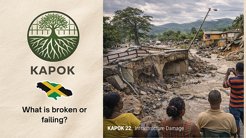 Captures damage to roads, buildings, utilities, and critical infrastructure.