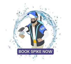 "Book Spike now for expert boat services at www.webeautifyboats.com—innovation meets precision."