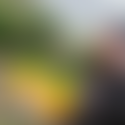 Alt Text Eye-level, wide-angle, photo-realistic image of Spike standing outdoors at the Reggae Music Walk of Fame in Jamaica, beside a tribute honoring Marcia Griffiths. Marcia Griffiths is one of Jamaica’s most enduring reggae icons, often called the “Queen of Reggae,” with a career spanning over six decades. She is known for solo classics like “Feel Like Jumping,” her role in Bob Marley & The I-Threes, and her influence in bringing reggae and Jamaican women’s voices to the global stage. Palm trees and lush tropical greenery frame the scene, symbolizing longevity, cultural pride, and musical legacy. Support cultural restoration and hurricane recovery at http://cjreliefteam.com/ and follow ongoing updates at https://www.instagram.com/canjamrelief/