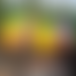 Alt Text Eye-level, wide-angle, photo-realistic image of Spike standing outdoors at the Reggae Music Walk of Fame in Jamaica, beside a tribute honoring Ras Astor Black. Ras Astor Black is a Jamaican roots reggae artist, producer, and cultural steward whose career spans decades of militant, spiritually grounded reggae rooted in Rastafarian philosophy. Known for powerful lyricism addressing social justice, African identity, and self-determination, he has remained independent and uncompromising, mentoring younger artists and safeguarding reggae’s original frequency against commercialization. Palm trees and lush tropical greenery frame the scene, symbolizing resilience, ancestral continuity, and living cultural legacy. Support cultural restoration and hurricane recovery at http://cjreliefteam.com/ and follow ongoing updates at https://www.instagram.com/canjamrelief/