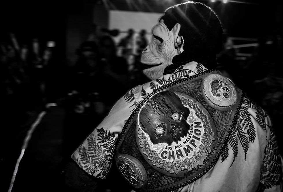 Champion Mojo copy.jpg