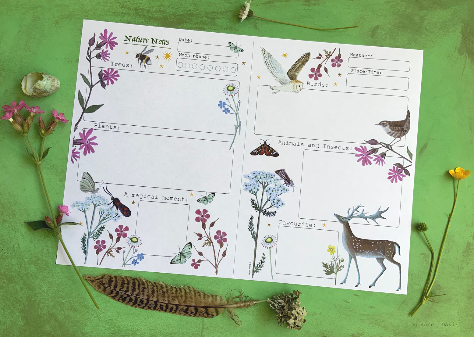 Nature Notes ( Colour version) 'DIGITAL DOWNLOAD' PDF File.