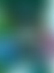 Artist Spotlight on Flawed Beings