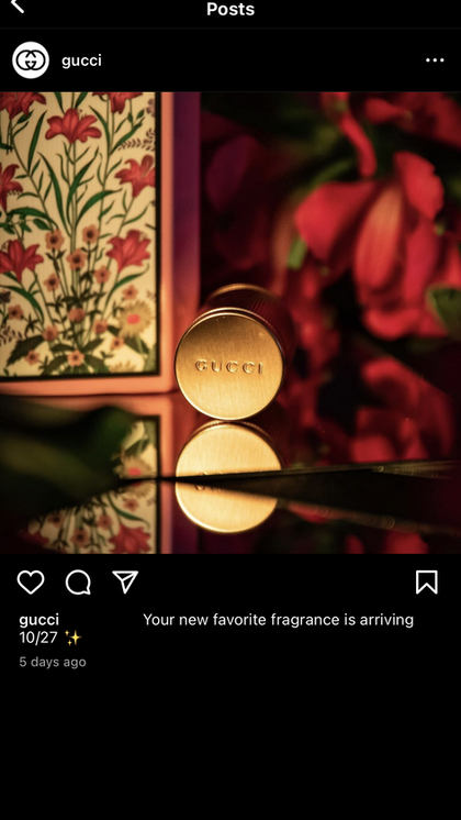 gucci_social4.png