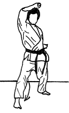 03.AgeUke.gif