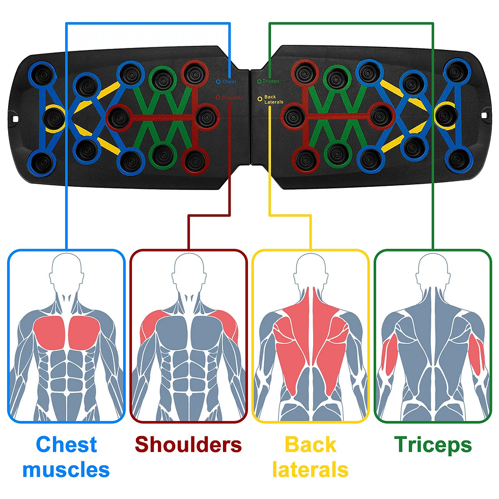 Thumbnail: Color-coded push up rack board targeting chest, shoulders, back, and triceps.
