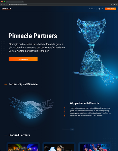Pinnacle Partners project homepage
