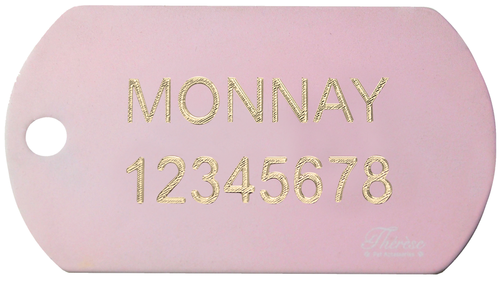Thumbnail: Camouflage Print Military Tag RD/BL (L)