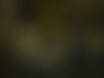 The Entire World Inside