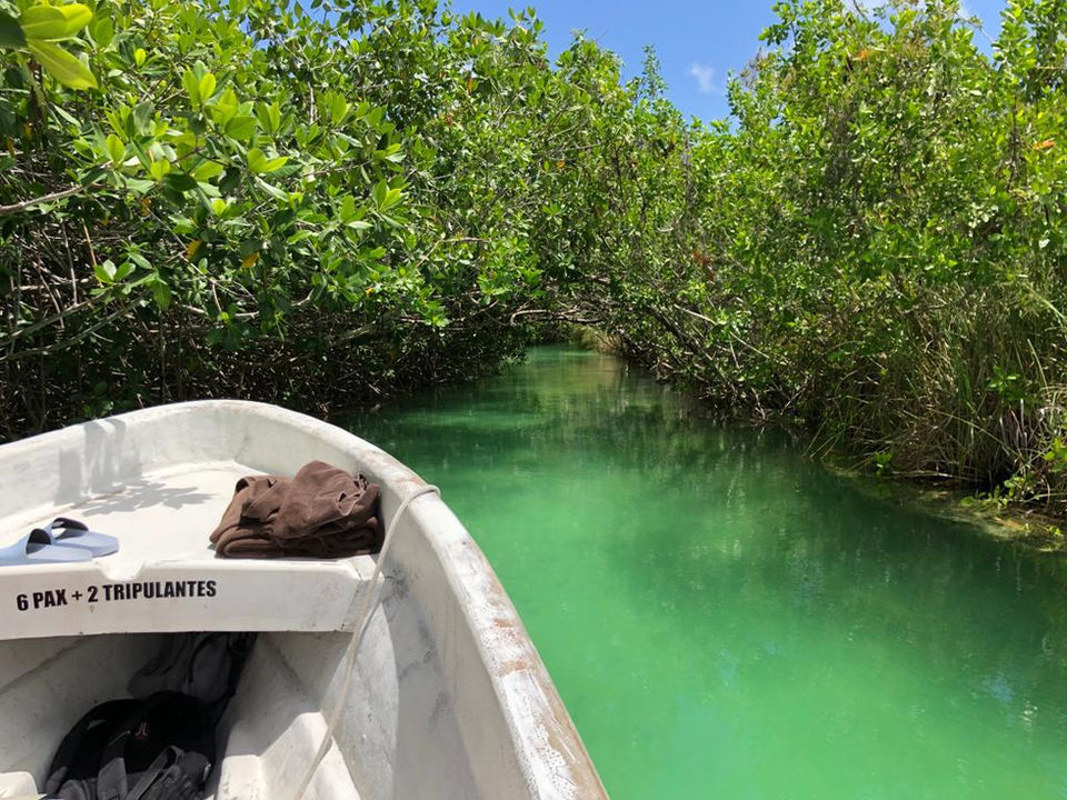 Muyil River Float Tour in Tulum, Riviera Maya Mexico