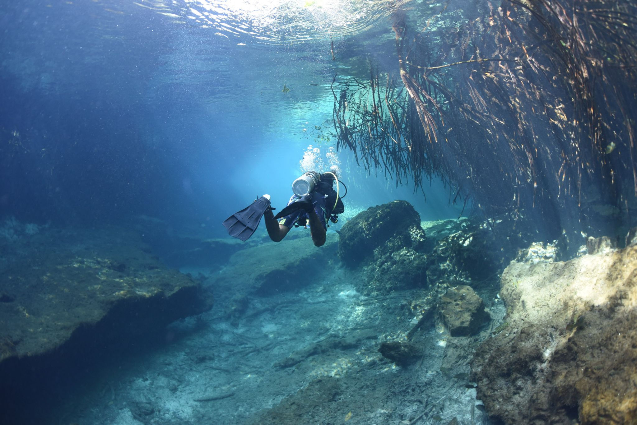 One tank Casa Cenote + One tank cenote car wash