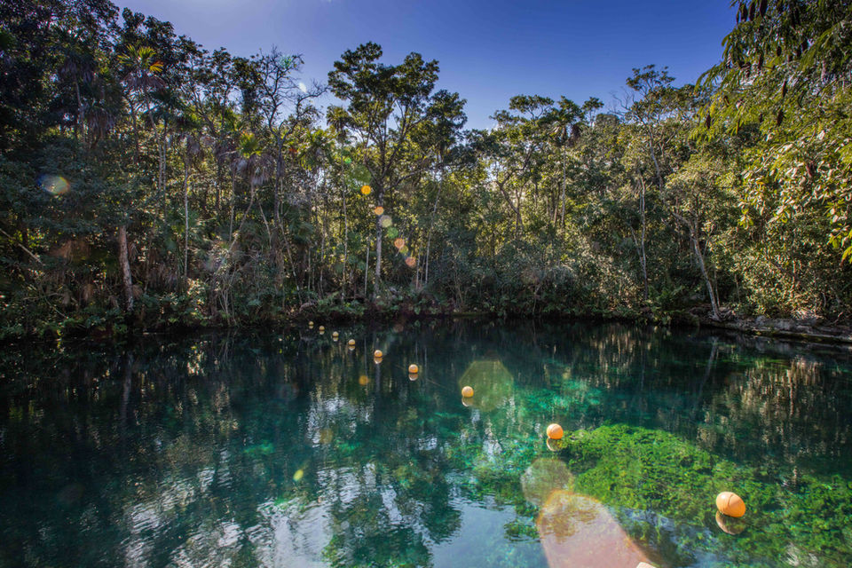 Clear water lagoon at Tankah jungle, revealing the rocky bottom.