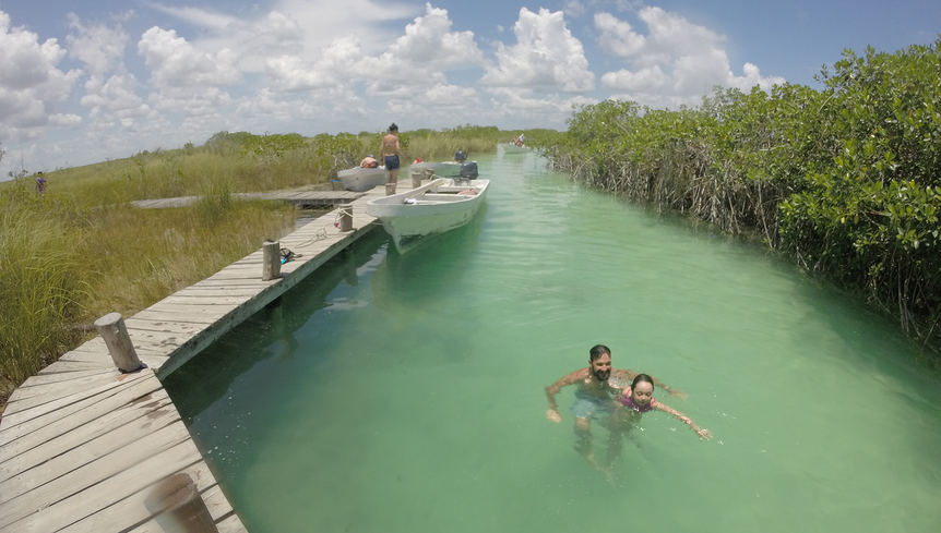 Joyfully swimming between the deck with a boat nearby and the serene mangrove.