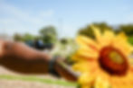 UWGRP_StartUp_UrbanFarm-146
