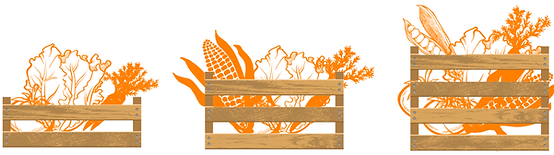Veggiesbox-.tif