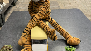 Radar On The Road Again to Washington