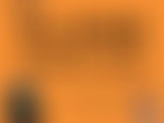 Book Summary and Reflection