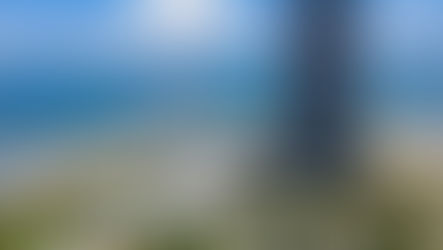 Malaysia Positions Forest City as Family Office Alternative to Singapore