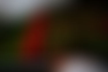 China ChiNext Reforms Expand Access for Pre-Profit Tech Firms