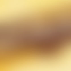 Global Report Maps 113 Investment Migration Routes Worldwide