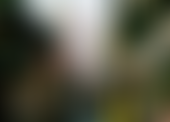 South Korea growth misses forecast, GDP shrinks 0.2%