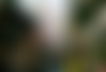 South Korea growth misses forecast, GDP shrinks 0.2%