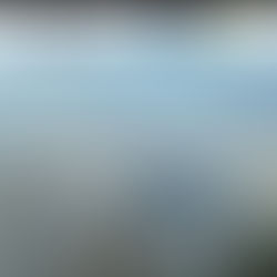 ESG as Default: Why 90% of Family Offices Are Going Green—Hong Kong's Smart Edge