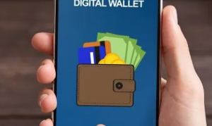 APAC Digital Wallets Dominate Global Payments, Report Says
