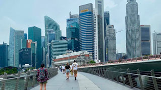 Singapore Wealth Management Fees Hit Records as Private Capital Inflows Grow