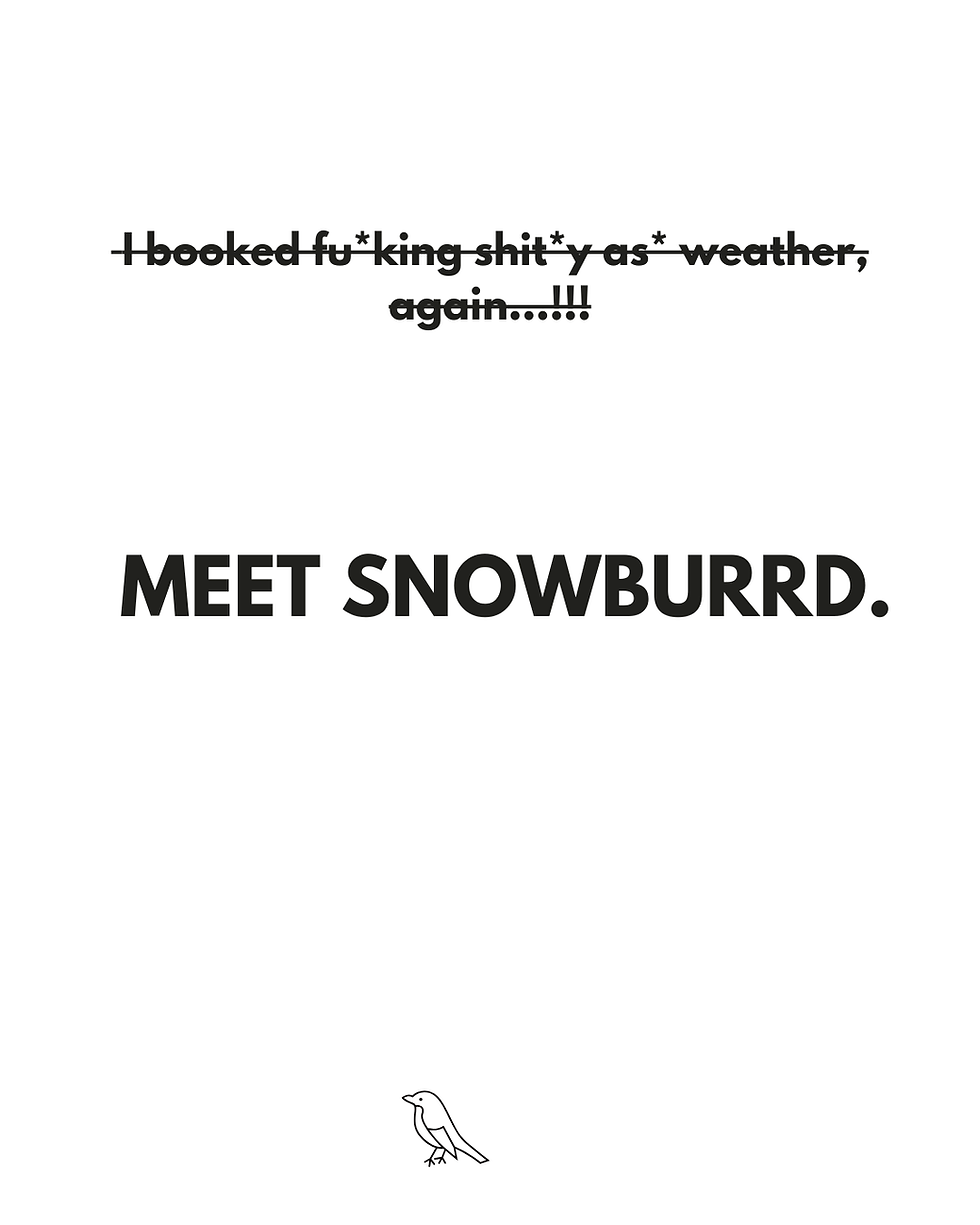 Snowburrd BM (4).png