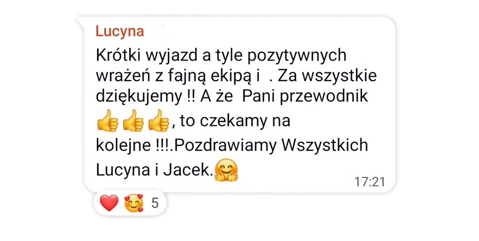 Lisie Wojaże