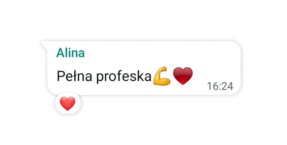 Lisie Wojaże