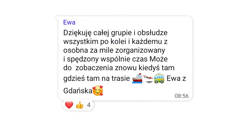 Lisie Wojaże