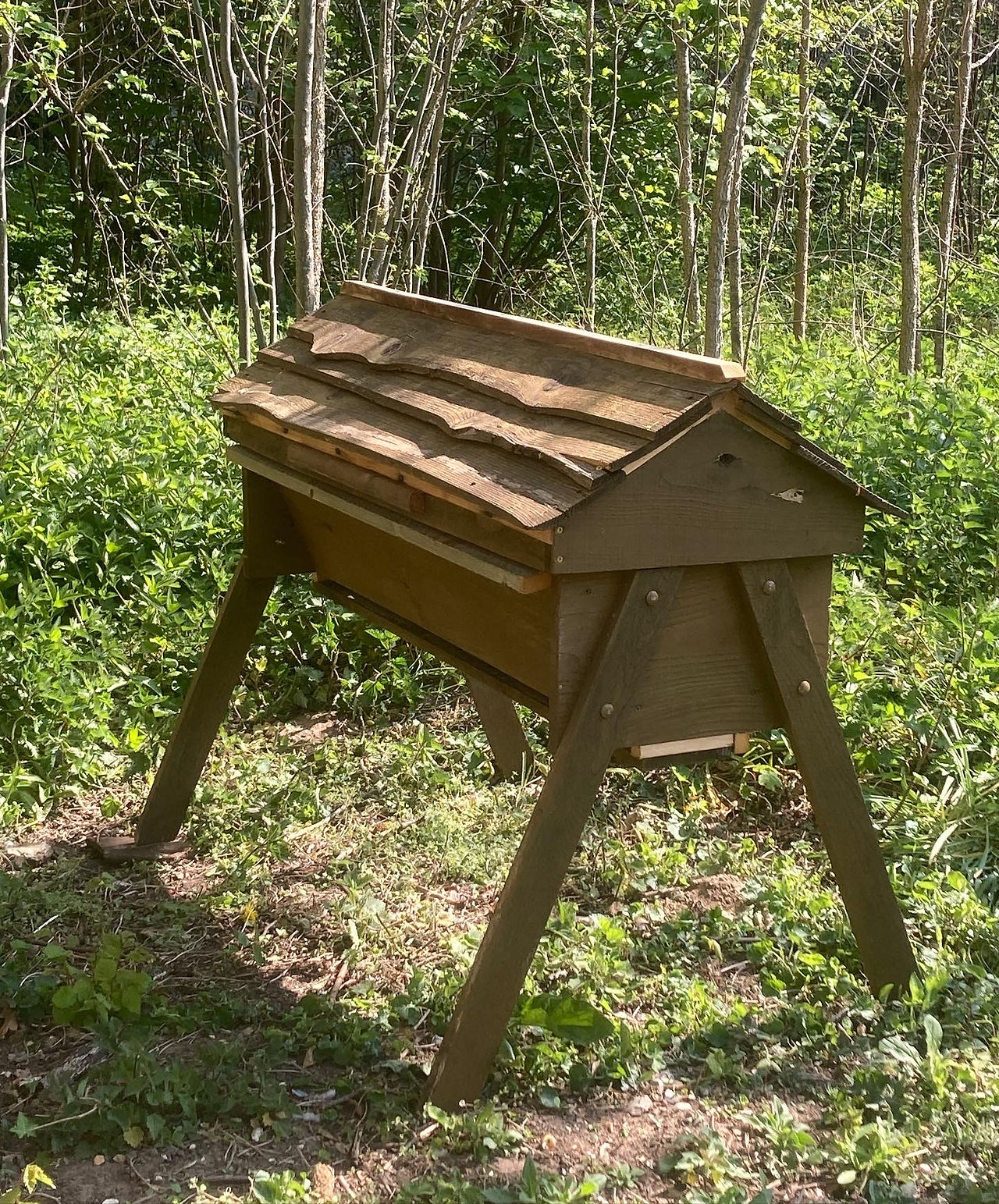 a top bar beehive sitting in place