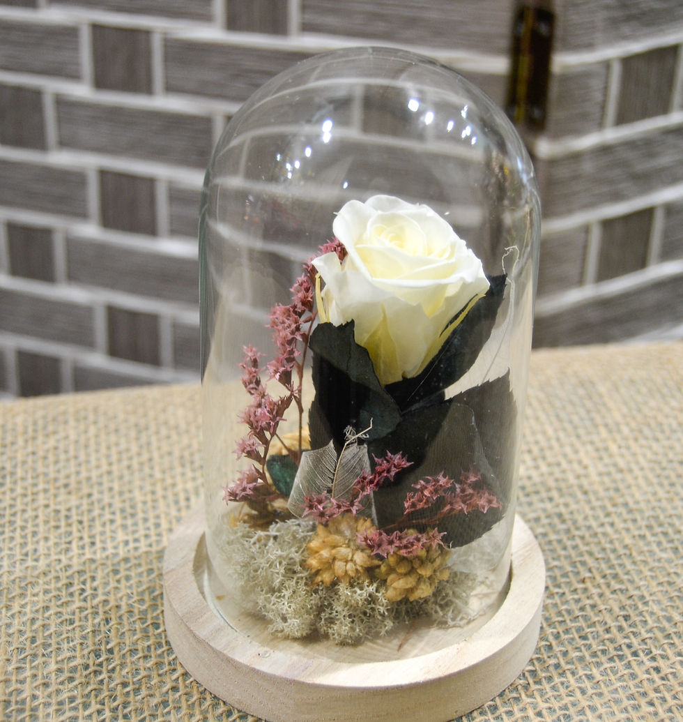 Miniatura: Cúpulas de rosas
