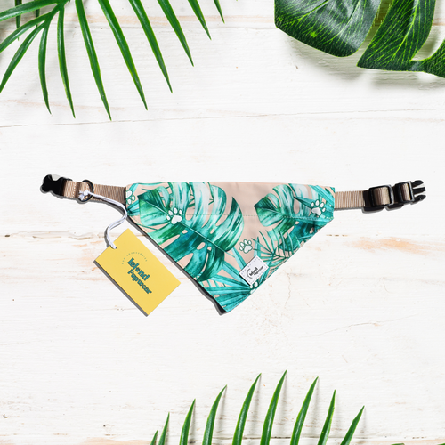 Cute Dog Bandanas Tropical Leaf Print Island Pupwear
