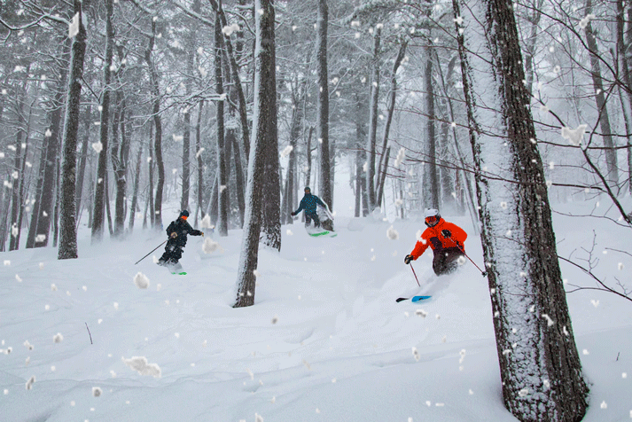 TREESKI.gif
