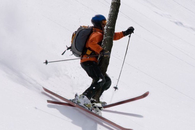 skier-crashing-into-tree-68904.jpeg