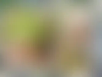 Consumi hrană de calitate ai un organism de calitate