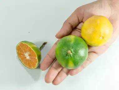 Alimentația și nutrienții (azi despre Vitamina C) un ajutor important în lupta cu Virusul Corona