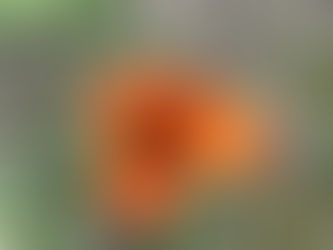 Ce este si cat de important este tratamentul nutritional?