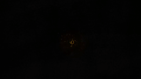 giphy (1).gif
