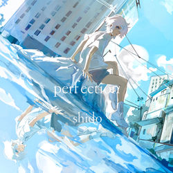 perfection字あり