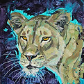Lion.jpg