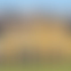 La categoria U13 vince la Turin Winter Cup contro il CBS