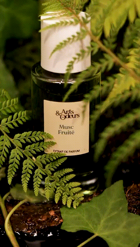 aa44860a-1461-4dbc-b32a-55212d893e2c 2.gif